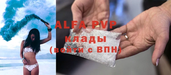 спиды Аркадак