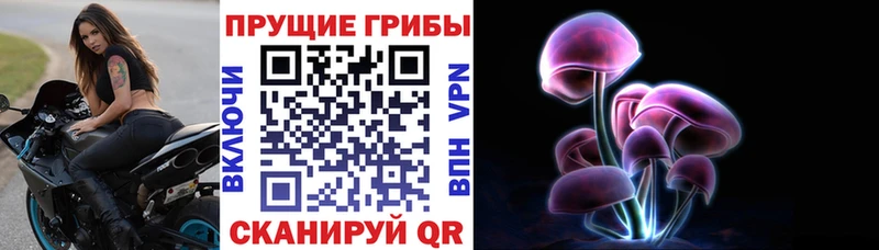 Псилоцибиновые грибы мицелий Видное